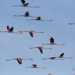 26219592_10208523151955561_8856789235288864094_n