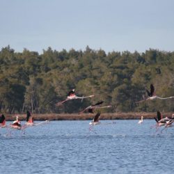 26230476_10208523110154516_1137515074027970241_n