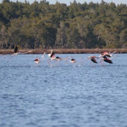 26231040_10208523112714580_4227166739934994665_n