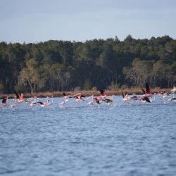 26238907_10208523127794957_4526241303771847074_n