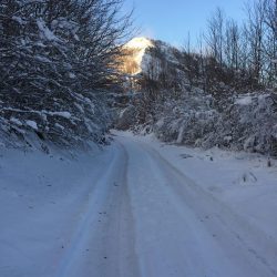 26694595_2038687369479822_163156624_n