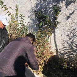 26731633_1973948476205856_1105751190279610656_n