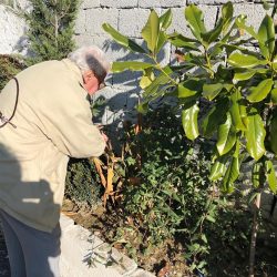 26815094_1973948396205864_2464433436484878942_n