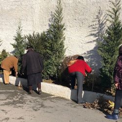 26815171_1973948456205858_4376662218797175004_n