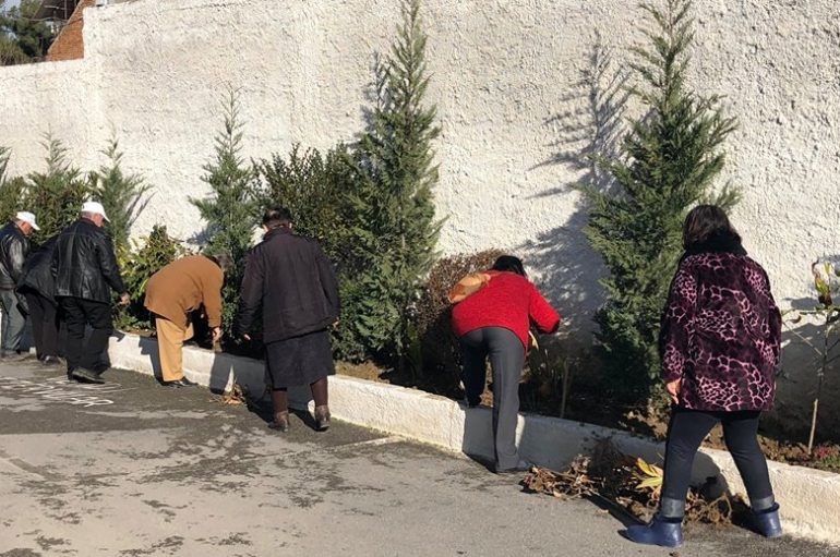 Dimri vjeshtë e dytë, ku çdo gjethe është një lule…