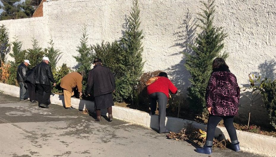 Dimri vjeshtë e dytë, ku çdo gjethe është një lule…