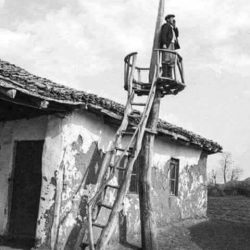 26903689_417518938681651_5336690669073402427_n