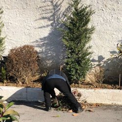 26904140_1973948372872533_8550581102380148346_n