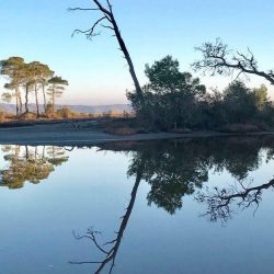 27066961_10155522467986523_8261470568126710394_n (1)