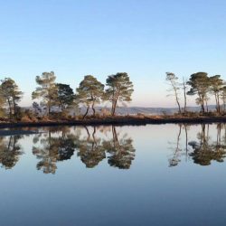 27067272_10155522467856523_3914528128240200303_n (1)