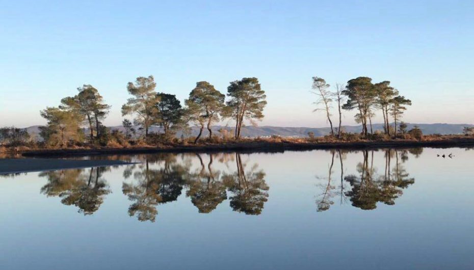 Gjirhçka e pasqyruar mbi ujë