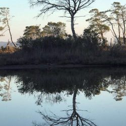 27332249_10155522467911523_2367140848348761660_n