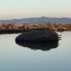 27336640_10155522468131523_640990655780399337_n