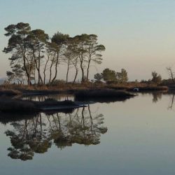 27337262_10155522467981523_6135671650705465082_n