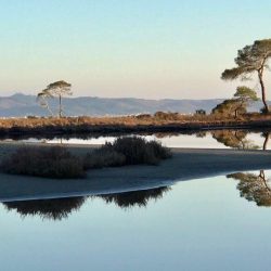 27459377_10155522467921523_2807417826459154066_n (1)