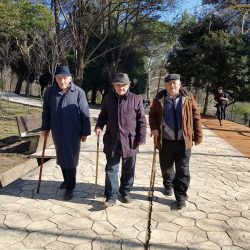 27654433_1980686295532074_3572953424238397956_n