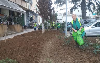Ndërtimi i lulishteve mes pallateve në Tiranë u shton jetën qytetarëve