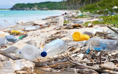 Plastika është fantastike se ndryshoi botën