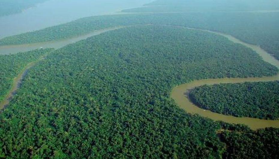 “Ne mund të shpëtojmë jetën në tokë”: Studimi zbulon si të ndalojmë zhdukjen masive