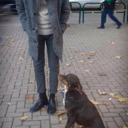 afdd199d98cf36de4a29894c2d7c8ad7