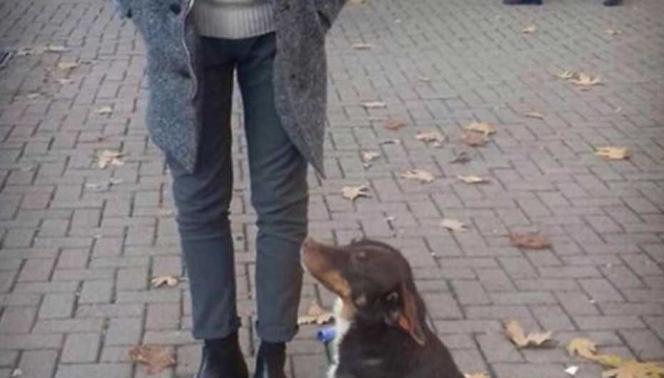 Prapaskena e errët e një vipi, si shpëtoi nga depresioni dhe bullizmi Strakosha