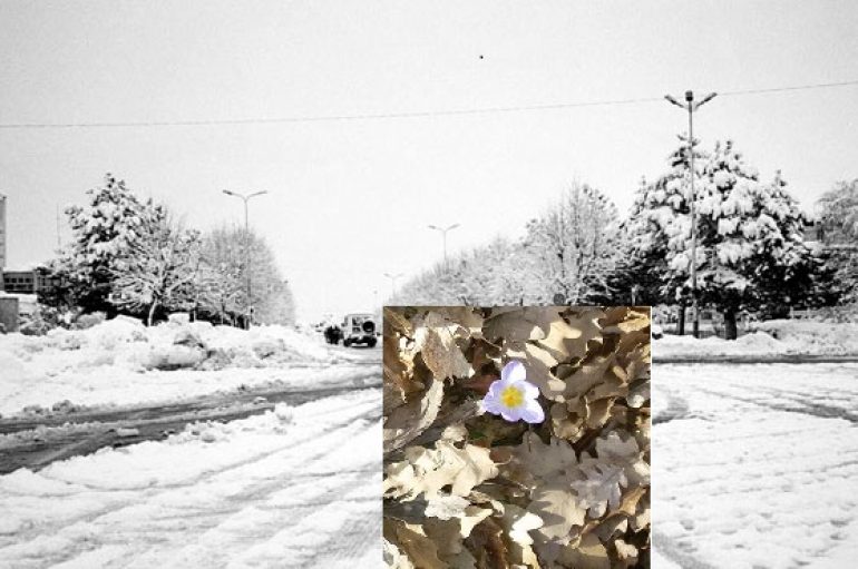 Vjen pranvera në Kukës, shikoni çfarë i befason banorët