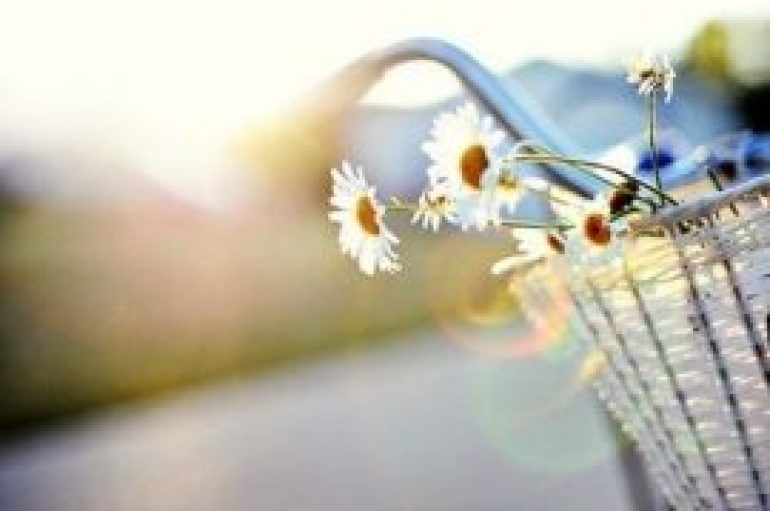 “Rrëzohu 7 herë e ngrihu 8 herë” 