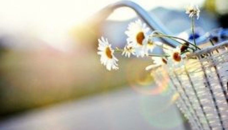 “Rrëzohu 7 herë e ngrihu 8 herë” 