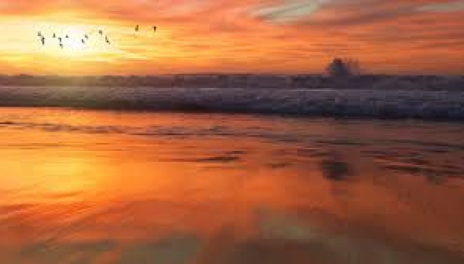 ‘Si të zëvendësojmë klimën e ferrit me një mesazh pozitiv’