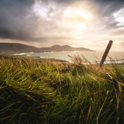 philipp-baumann-324485-1024×683