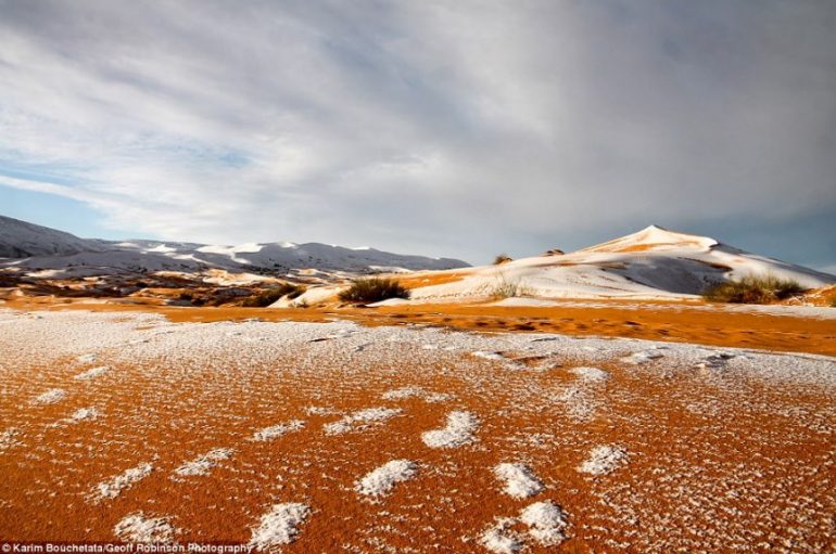 Dëbora zbardh shkretëtirën e Saharasë