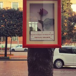 27752239_152175228827272_5752841750144650665_n