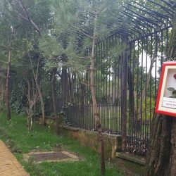 27858053_152072118837583_5969100544181086380_n