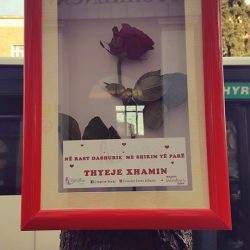 27858227_152175202160608_6767940576865294092_n