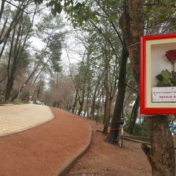 27858258_152070612171067_9069289528876443211_n