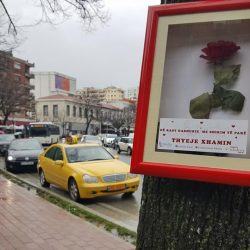 27867149_152175348827260_1450296666589960037_n