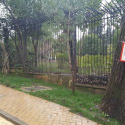 27867310_152072085504253_5809721944545952682_n