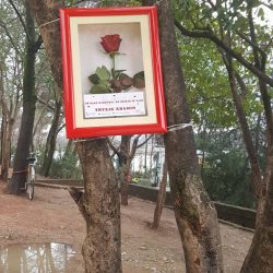 27972384_152070435504418_8651072797823424771_n