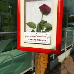 27972757_152175288827266_5712685393376244157_n