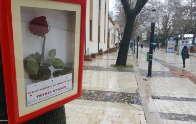 “Në rast dashurie me shikim të parë thyeje xhamin”