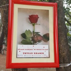 27972789_152072068837588_4772105364135182480_n