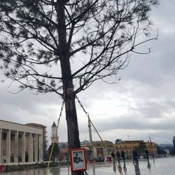 27972811_152099622168166_1859280195471713075_n