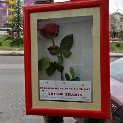 27973823_152153608829434_243871167021109055_n