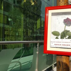 28058878_152175268827268_8220119759580318439_n