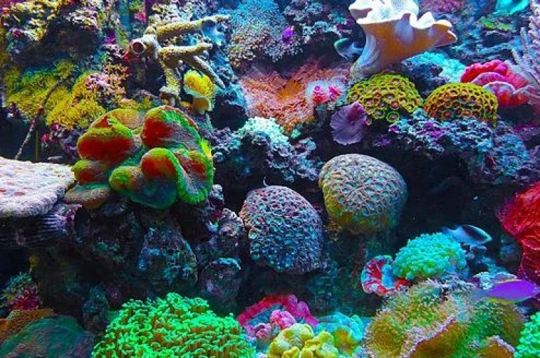 Gjuetia e thesareve të reja në tokë ofron përulje për njerëzit