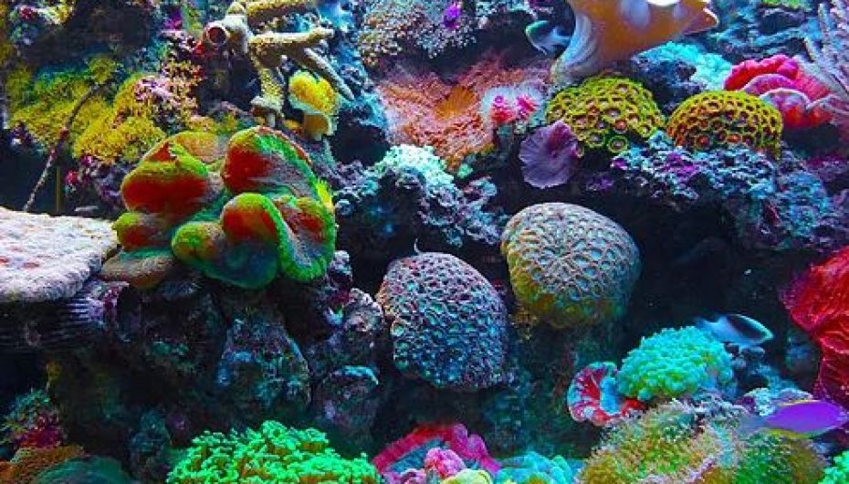 Gjuetia e thesareve të reja në tokë ofron përulje për njerëzit