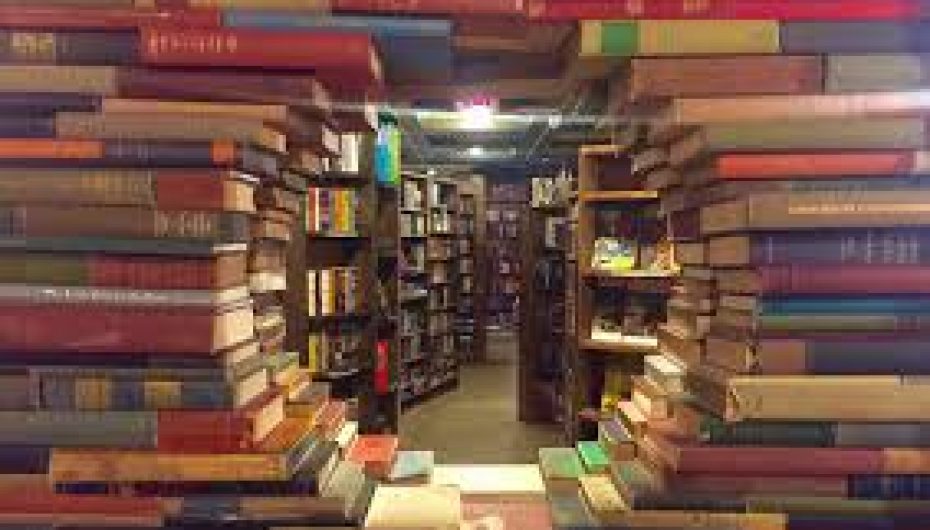 Jeta është si një libër i mirë