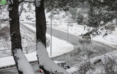 Gjithçka bëhet flokë bore