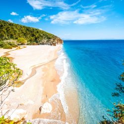 shutterstock_272863166