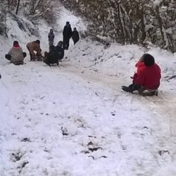 28471768_419320498522229_3344527520433053023_n